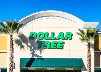 The $1.25 Dollar Tree Freezer Find I Use All the Time