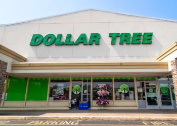 This $1.25 Dollar Tree Freezer Find Is a Game-Changer