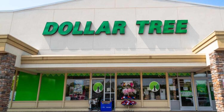 This $1.25 Dollar Tree Freezer Find Is a Game-Changer