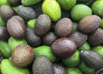 The Best Way To Ripen an Avocado Quickly, According to an Avocado Farmer
