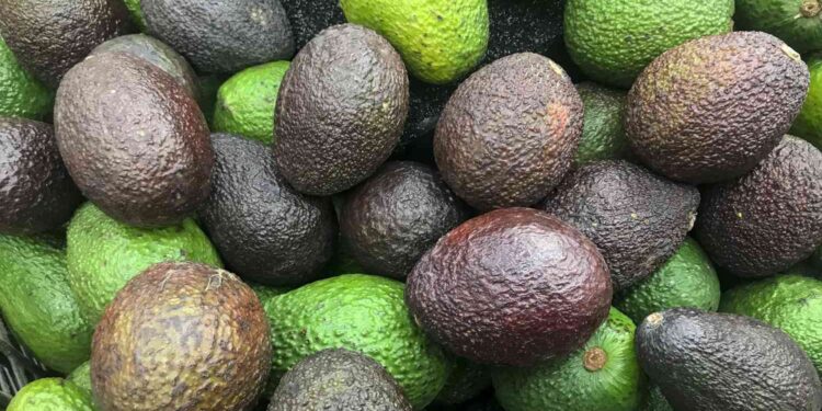 The Best Way To Ripen an Avocado Quickly, According to an Avocado Farmer