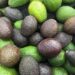 The Best Way To Ripen an Avocado Quickly, According to an Avocado Farmer