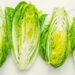 How To Wash Lettuce To Remove Dirt and Pesticides, According to Two Experts