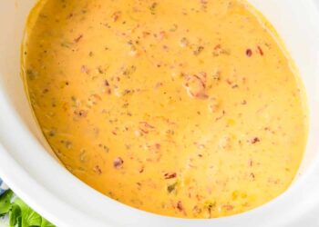 Crock Pot Rotel Dip (Velveeta Cheese Dip!)