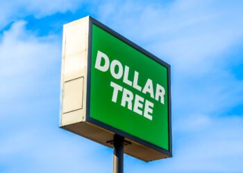 The $1.25 Dollar Tree Find So Good I Went Back for More