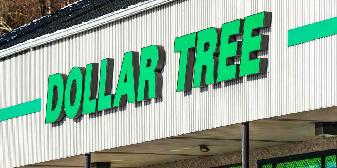 The $1.25 Dollar Tree Find I Use All the Time