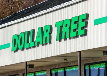 The $1.25 Dollar Tree Find I Use All the Time