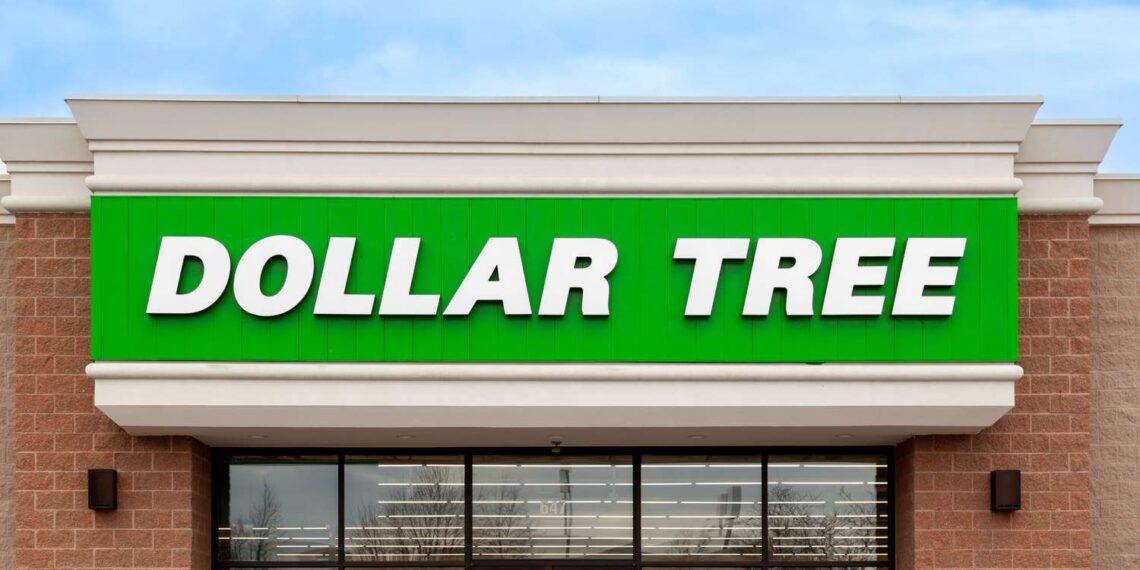 If You See This $1.25 Dollar Tree Find, Grab Several