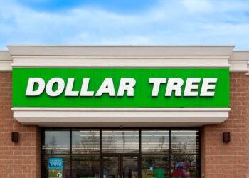 If You See This $1.25 Dollar Tree Find, Grab Several