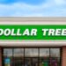 If You See This $1.25 Dollar Tree Find, Grab Several