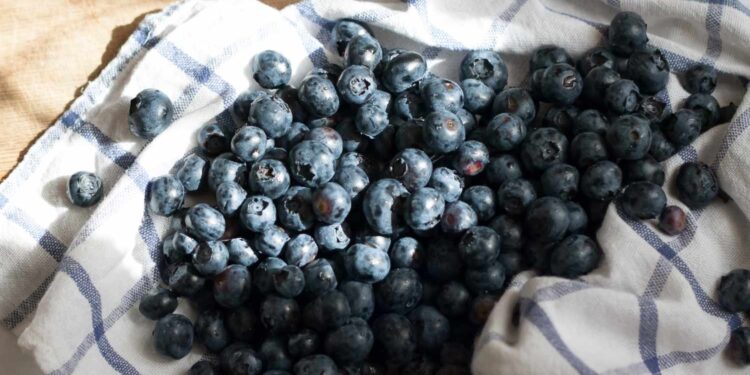 The Only Way To Prevent Blueberries From Rotting, According to Experts