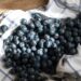 The Only Way To Prevent Blueberries From Rotting, According to Experts
