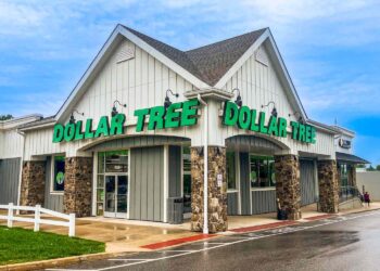 The $1.25 Dollar Tree Find I Can’t Live Without