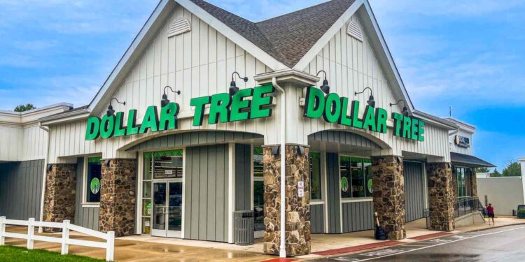 The $1.25 Dollar Tree Find I Can’t Live Without