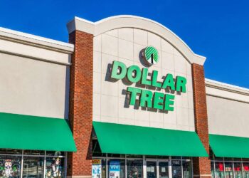 The $1.25 Dollar Tree Find I Use for Everything