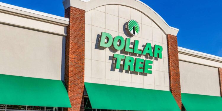 The $1.25 Dollar Tree Find I Use for Everything