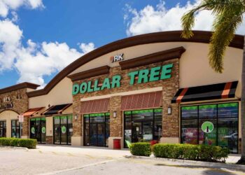 The $1.25 Dollar Tree Find I Wish I Bought Sooner