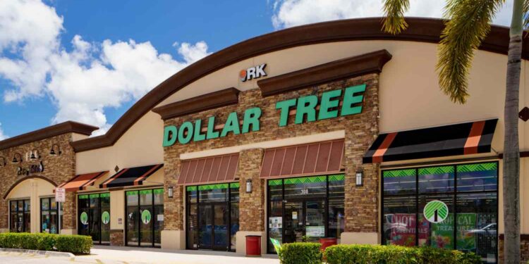 The $1.25 Dollar Tree Find I Wish I Bought Sooner