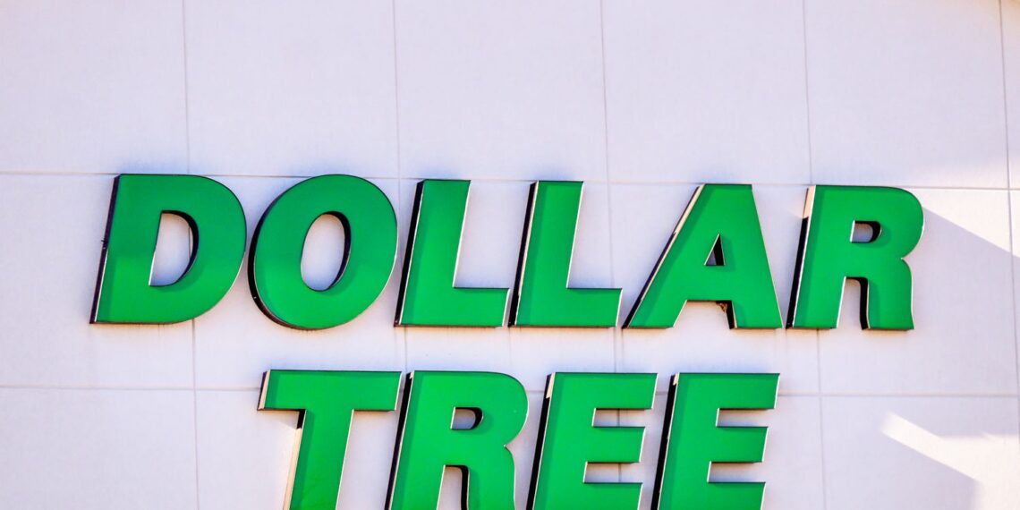 The $1.25 Dollar Tree Find So Good I Went Back for More