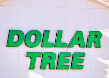 The $1.25 Dollar Tree Find So Good I Went Back for More