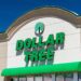 How To Find Premium Ingredients at Dollar Tree, According to a Pro Shopper