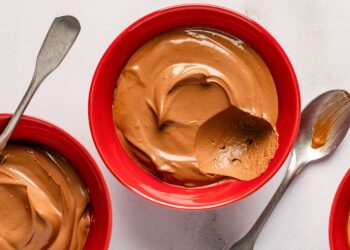Chocolate Yogurt Pudding Recipe (2 Ingredients)
