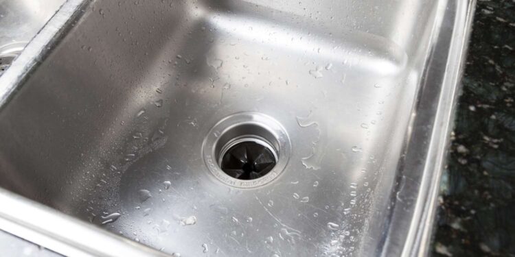 This Is the Best Way To Clean a Garbage Disposal, According to an Expert
