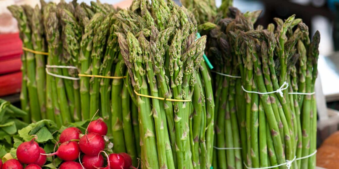 How To Choose the Best Asparagus, According to a Farmer