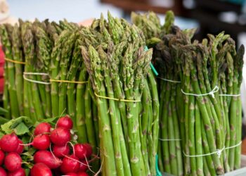 How To Choose the Best Asparagus, According to a Farmer