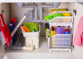 The Best Way To Organize Under Your Kitchen Sink, According to a Pro