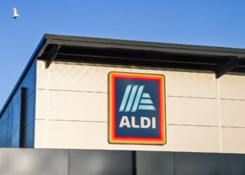 This $19.99 ALDI Appliance I Wish I’d Bought Sooner