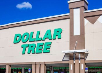 The $1.25 Dollar Tree Find I Wish I Bought Sooner