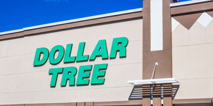 The $1.25 Dollar Tree Find I Wish I Bought Sooner