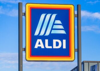 This $2.45 ALDI Product I Wish I’d Bought Sooner