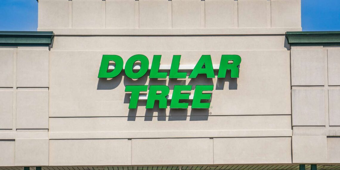 The $1.25 Dollar Tree Find I Use All the Time