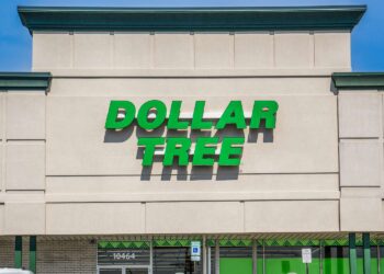 The $1.25 Dollar Tree Find I Use All the Time