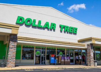 The $1.25 Dollar Tree Find So Good I Went Back for More