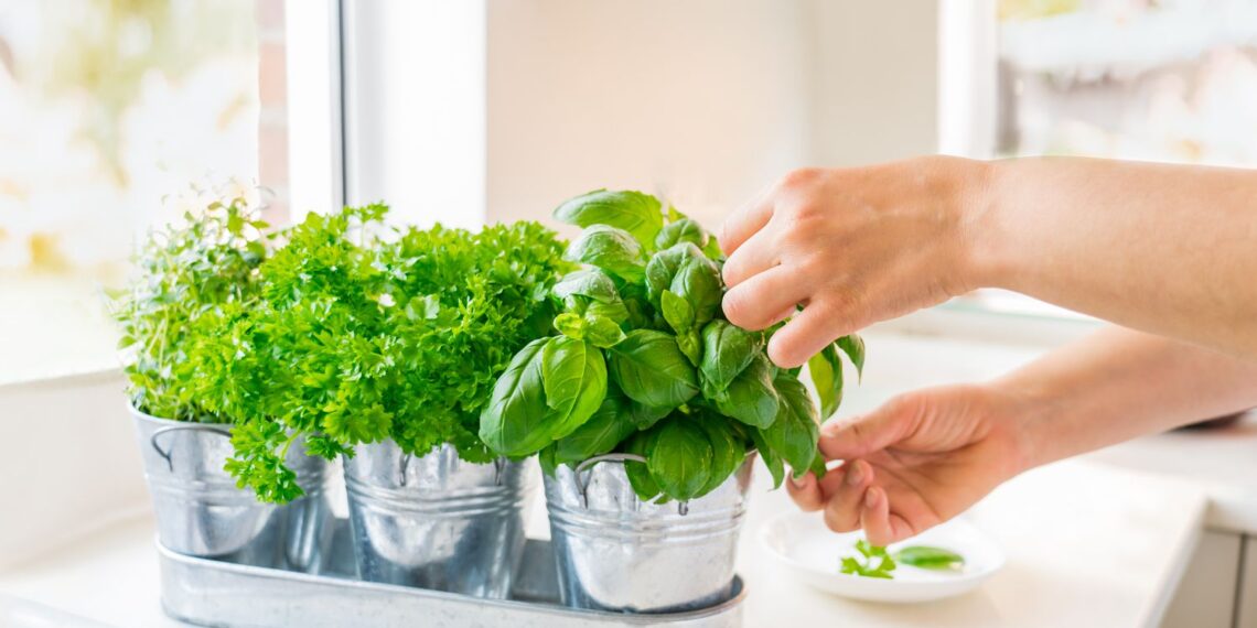 How To Wash Fresh Herbs To Remove Dirt and Pesticides, According to an Expert