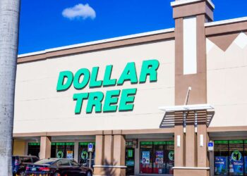 The $1.25 Dollar Tree Find I Can’t Get Enough Of