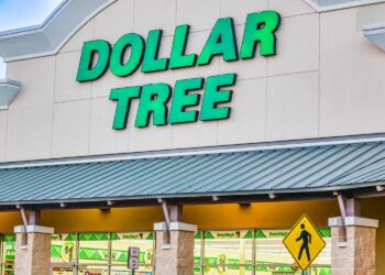 The $1.25 Dollar Tree Garden Tool I Use All the Time in My Kitchen